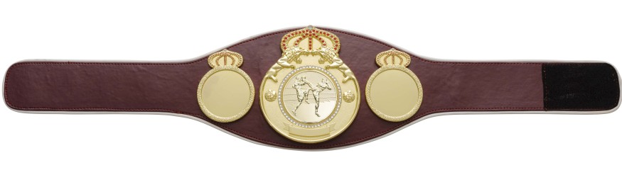 THAI BOXING CHAMPIONSHIP BELT PROLION/G/TBOG - AVAILABLE IN 6+ COLOURS THAI BOXING CHAMPIONSHIP BELT PROLION/G/TBOG - AVAILABLE IN 6+ COLOURS